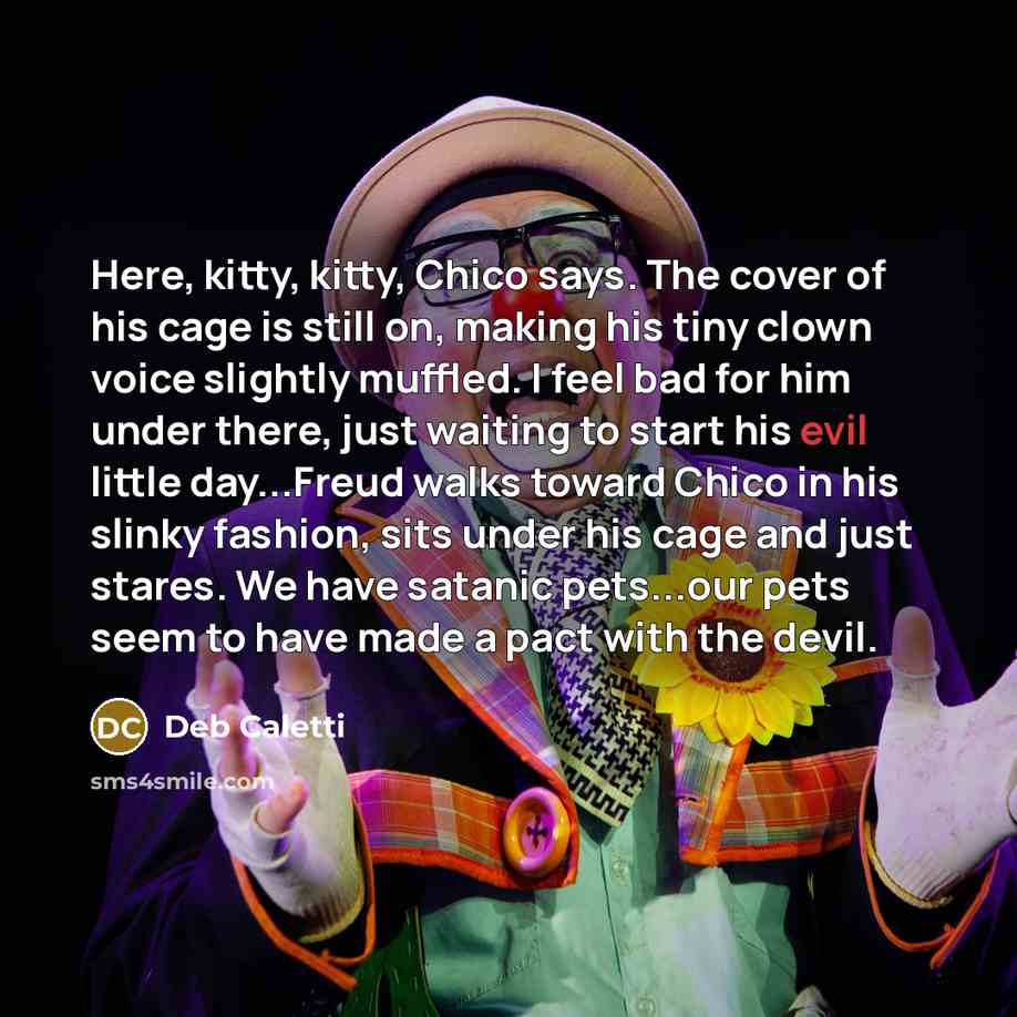 “Here, kitty, kitty, Chico says. The cover of his cage…” quote by Deb Caletti