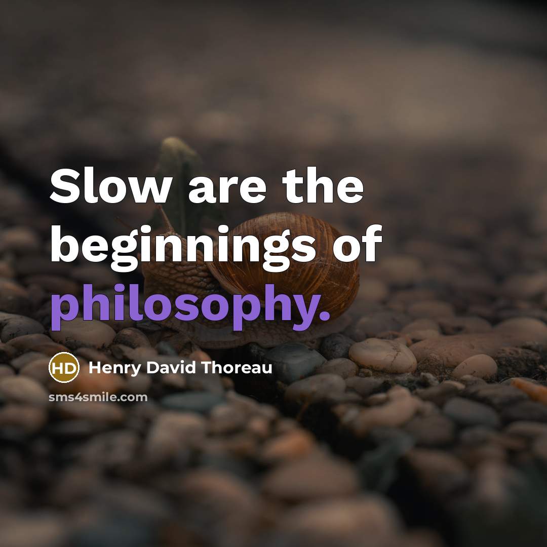 “Slow are the beginnings of philosophy.…” quote by Henry David Thoreau
