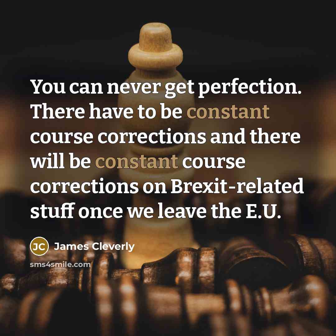 “You can never get perfection. There have to be constant…” quote by James Cleverly
