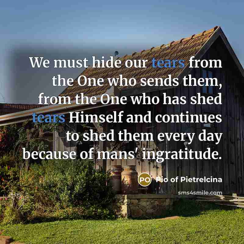 “We must hide our tears from the One who sends…” quote by Pio of Pietrelcina
