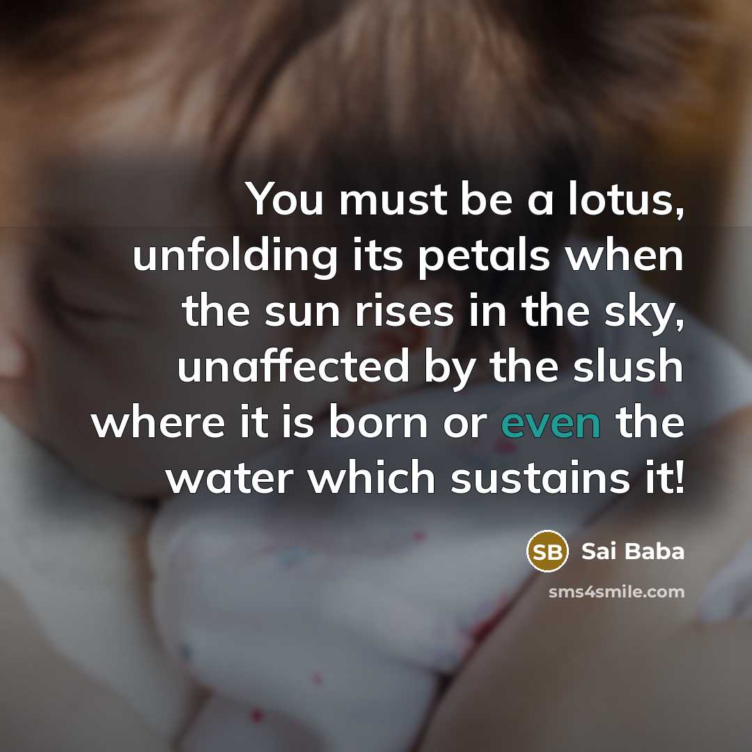 “You must be a lotus, unfolding its petals when the…” quote by Sai Baba