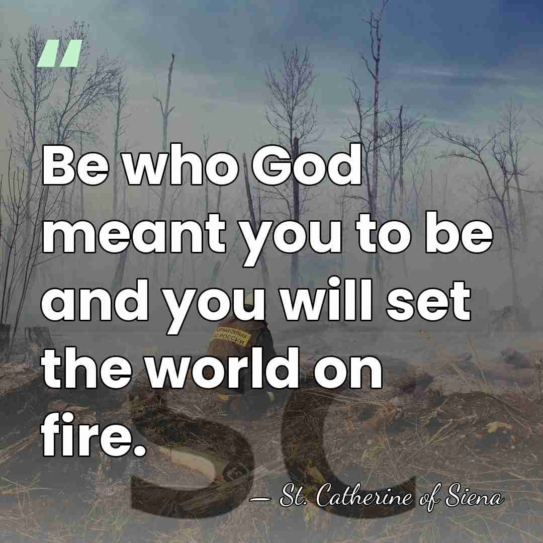 Be who God meant you to be and you will set the&hellip; - St. Catherine of Siena