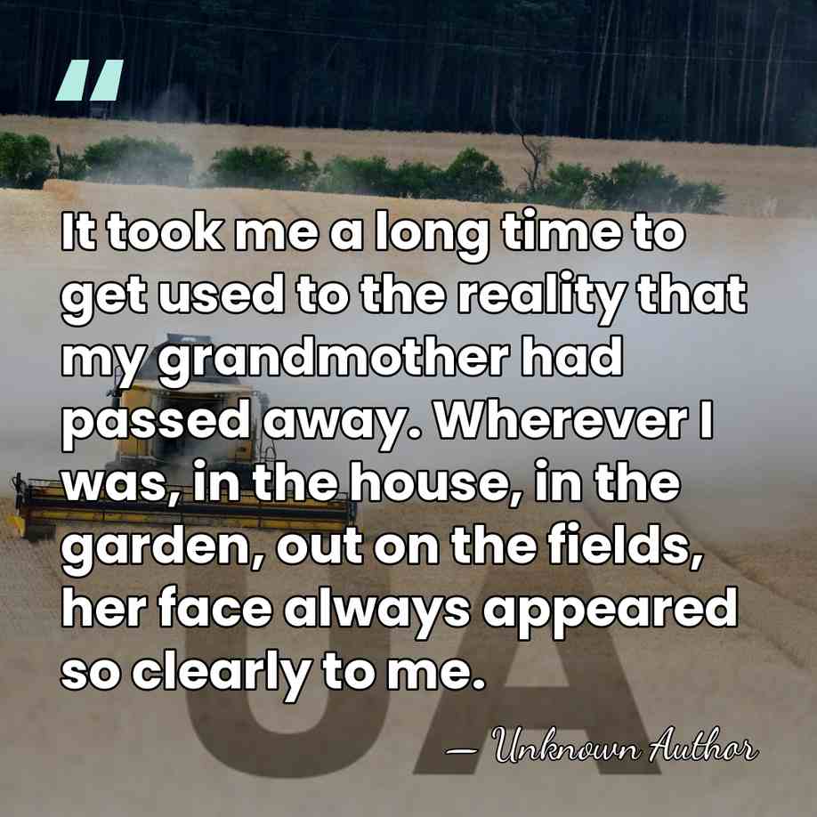 It took me a long time to get used to the reality&hellip; - Quang Nhuong Huynh