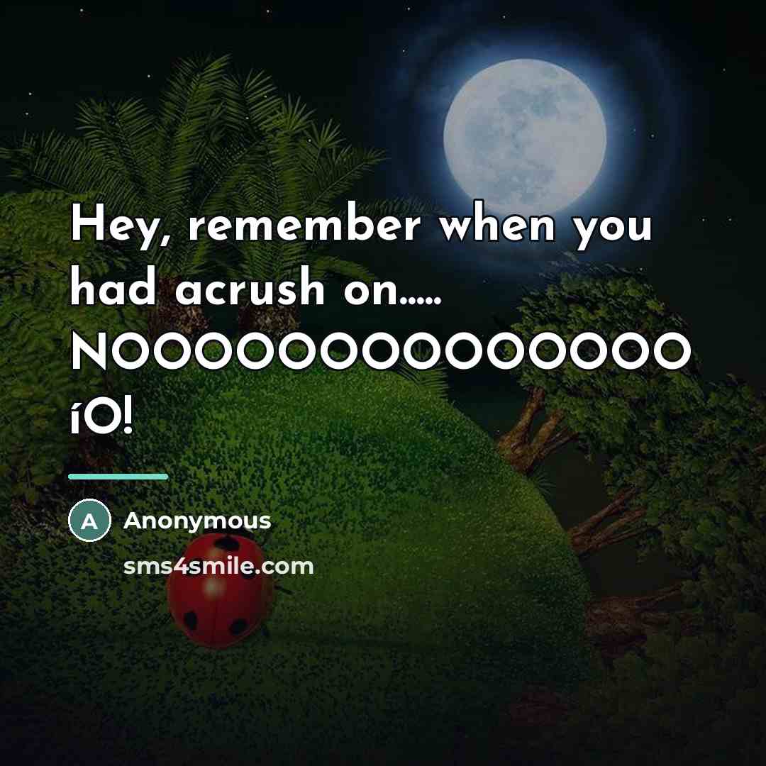 “Hey, remember when you had acrush on..... NOOOOOOOOOOOOOO íO!…” quote by Anonymous