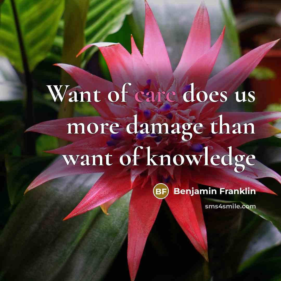 “Want of care does us more damage than want of…” quote by Benjamin Franklin
