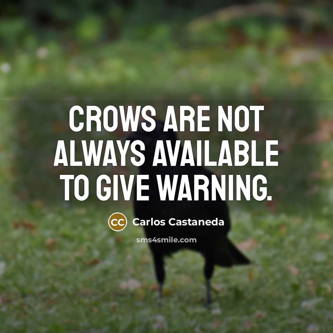 “Crows are not always available to give warning.…” quote by Carlos Castaneda