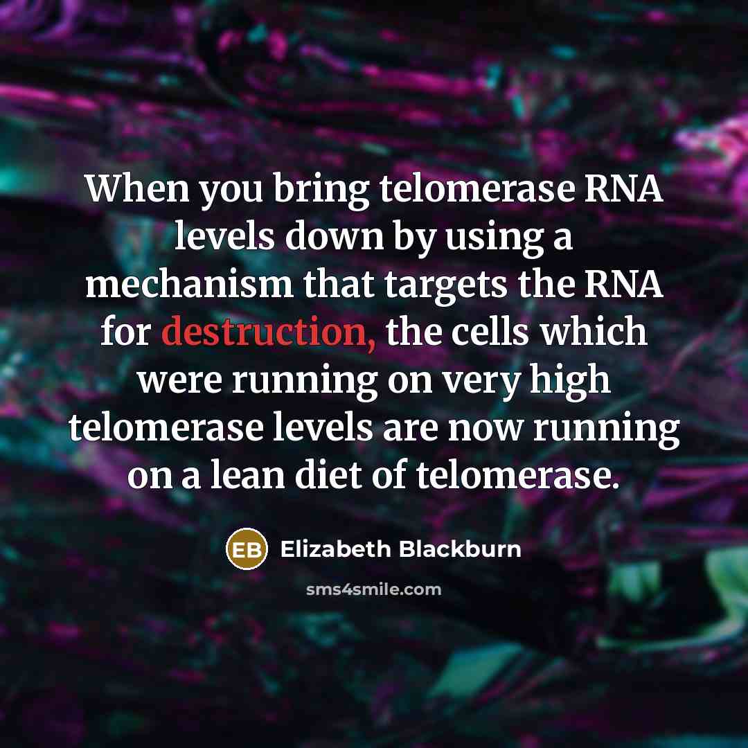 “When you bring telomerase RNA levels down by using a…” quote by Elizabeth Blackburn