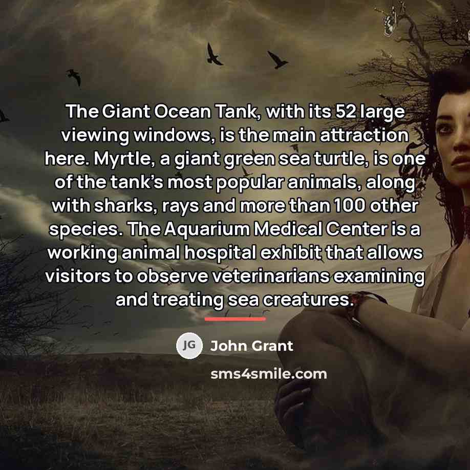 “The Giant Ocean Tank, with its 52 large viewing windows,…” quote by John Grant