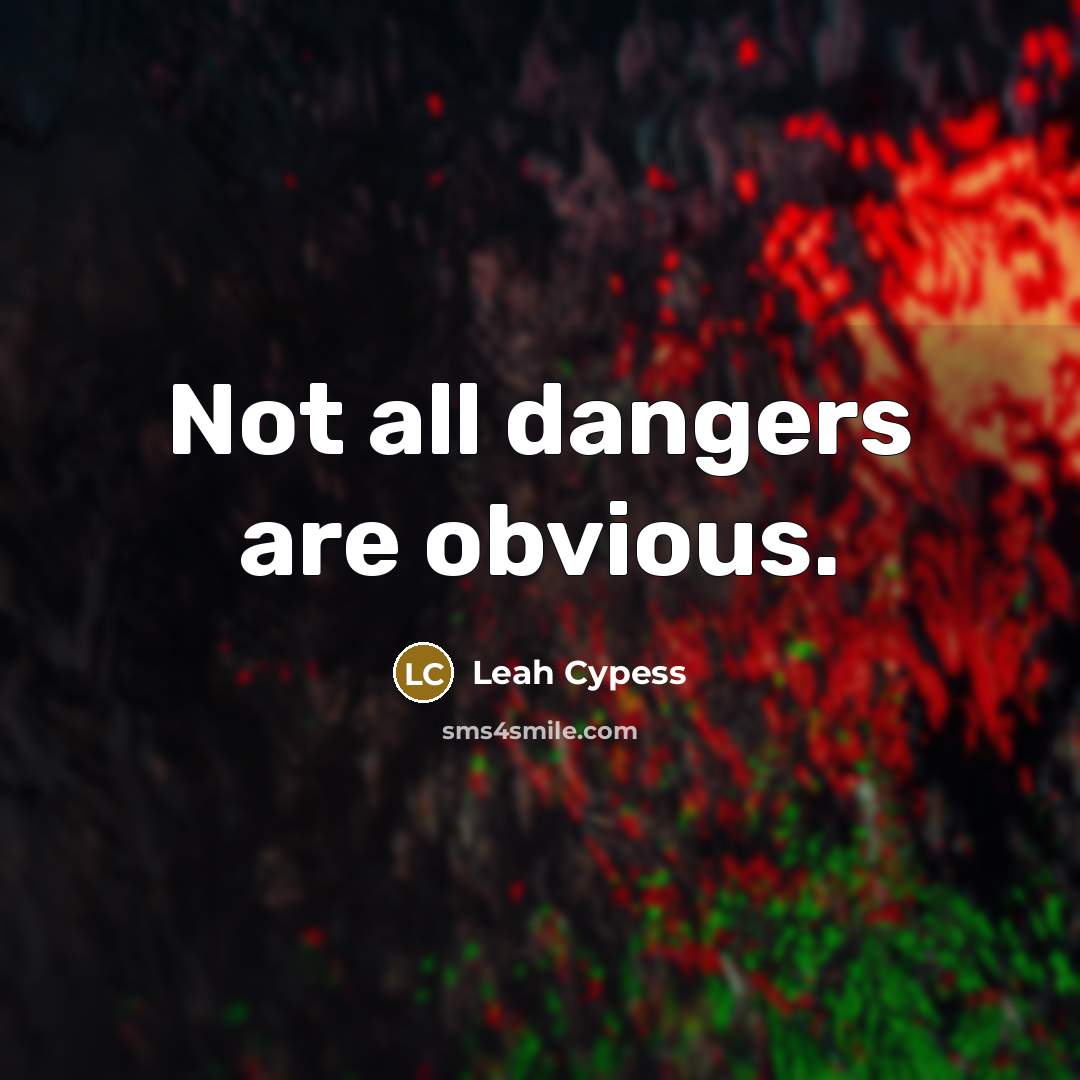 “Not all dangers are obvious.…” quote by Leah Cypess