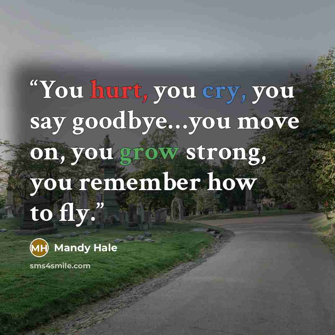 “You hurt, you cry, you say goodbye…you move on, you grow strong, you remember how to fly.” quote by Mandy Hale