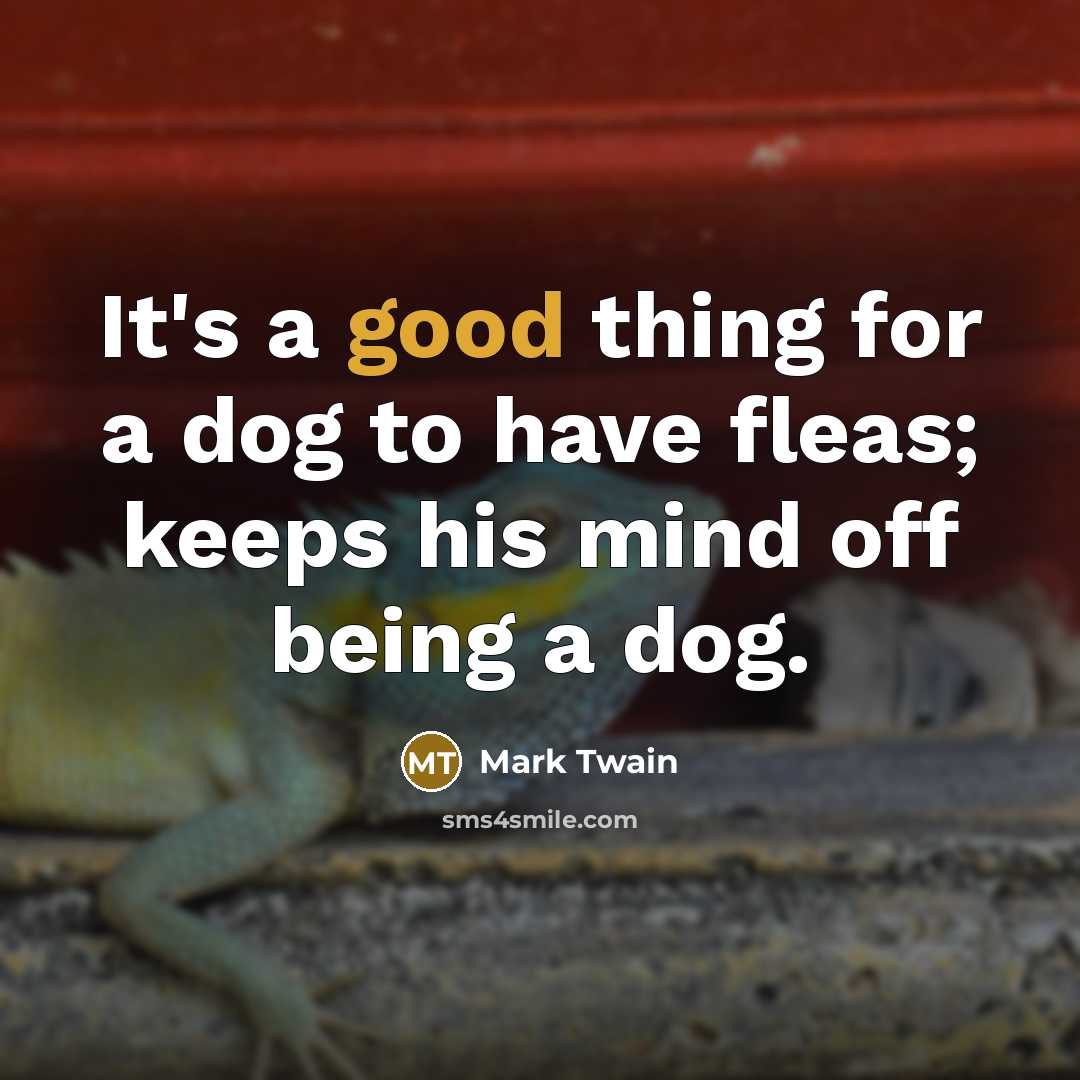“It's a good thing for a dog to have fleas; keeps his mind off being a dog.” quote by Mark Twain