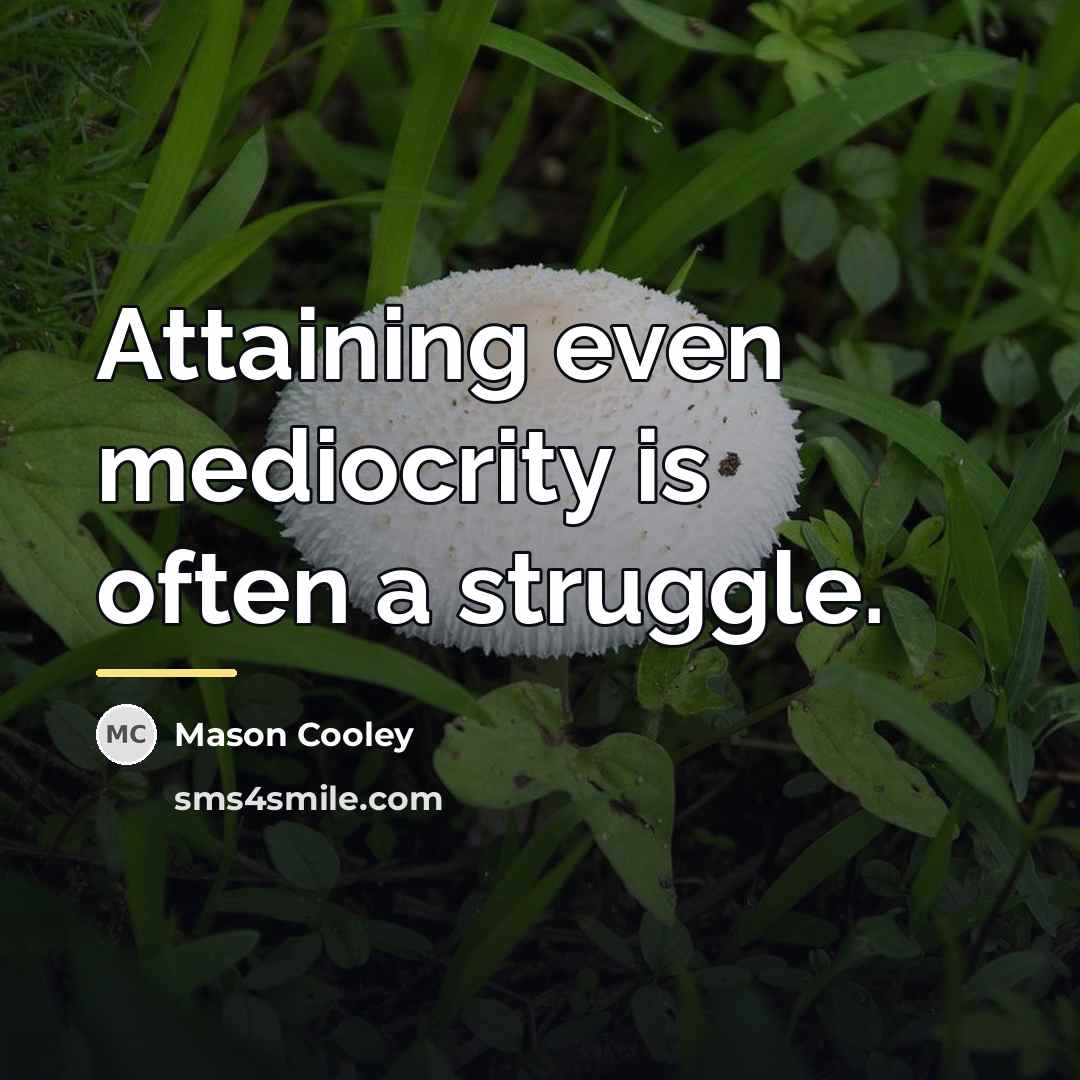 “Attaining even mediocrity is often a struggle.…” quote by Mason Cooley