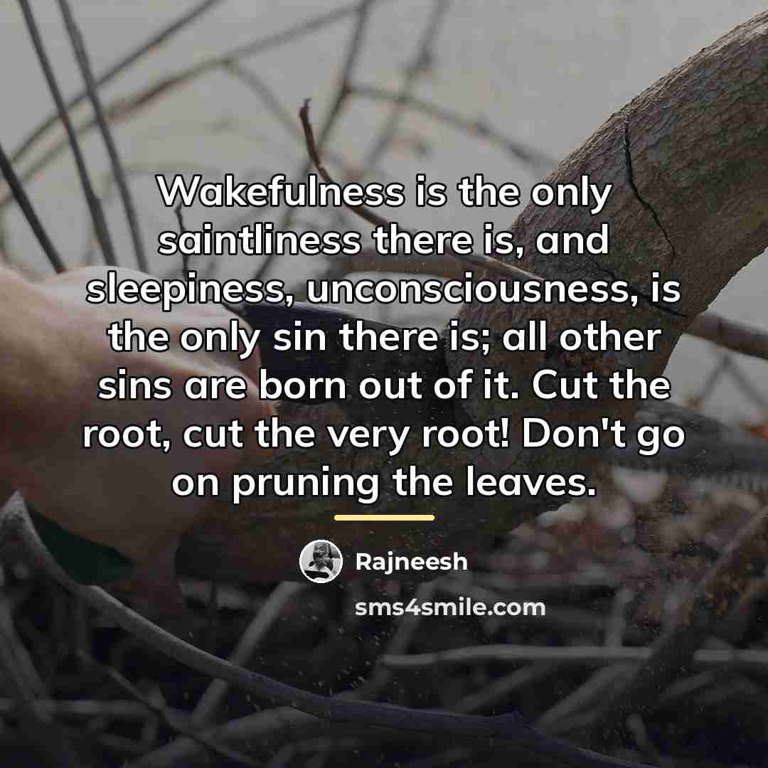 “Wakefulness is the only saintliness there is, and sleepiness, unconsciousness,…” quote by Rajneesh