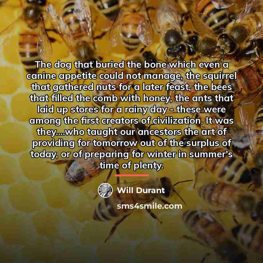 “The dog that buried the bone which even a canine…” quote by Will Durant