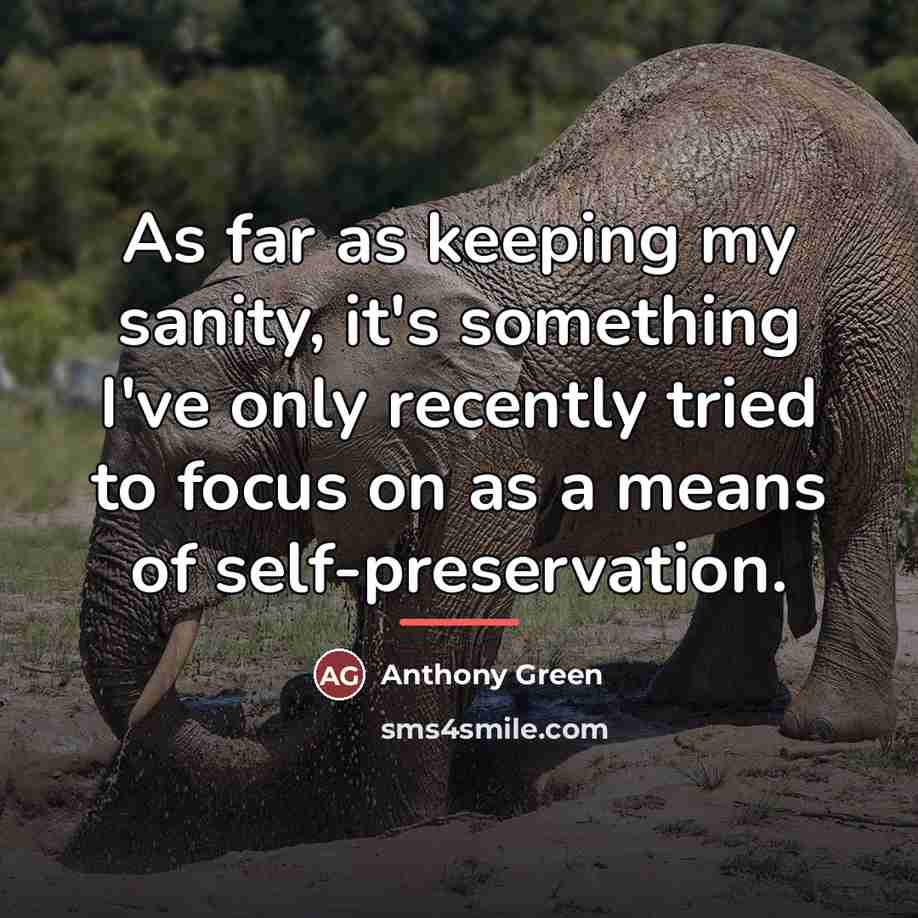 “As far as keeping my sanity, it's something I've only…” quote by Anthony Green