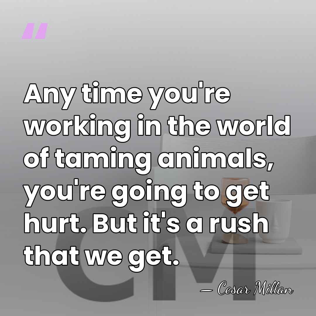 Any time you're working in the world of taming animals, you're going&hellip; - Cesar Millan