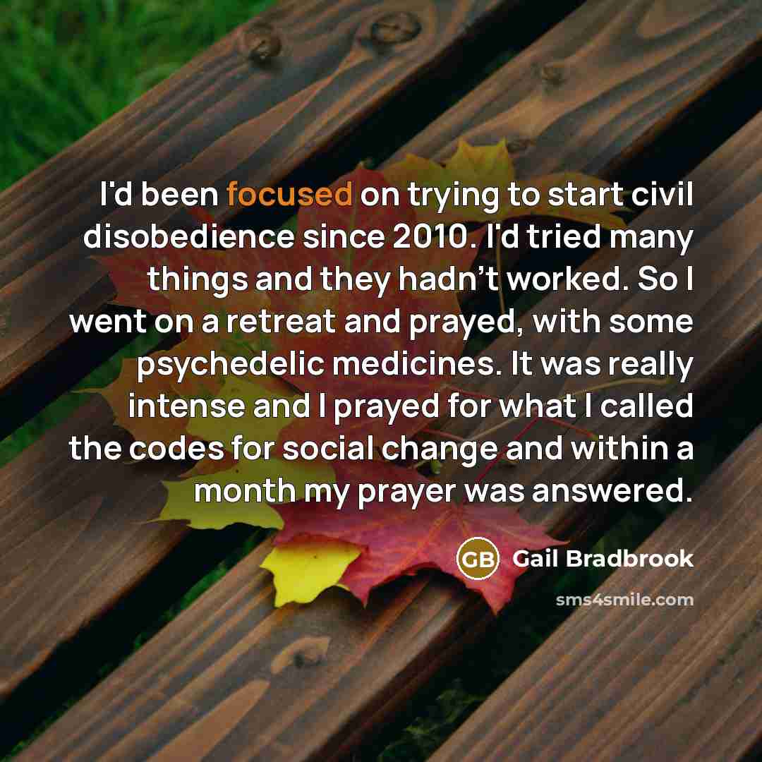 “I'd been focused on trying to start civil disobedience since…” quote by Gail Bradbrook