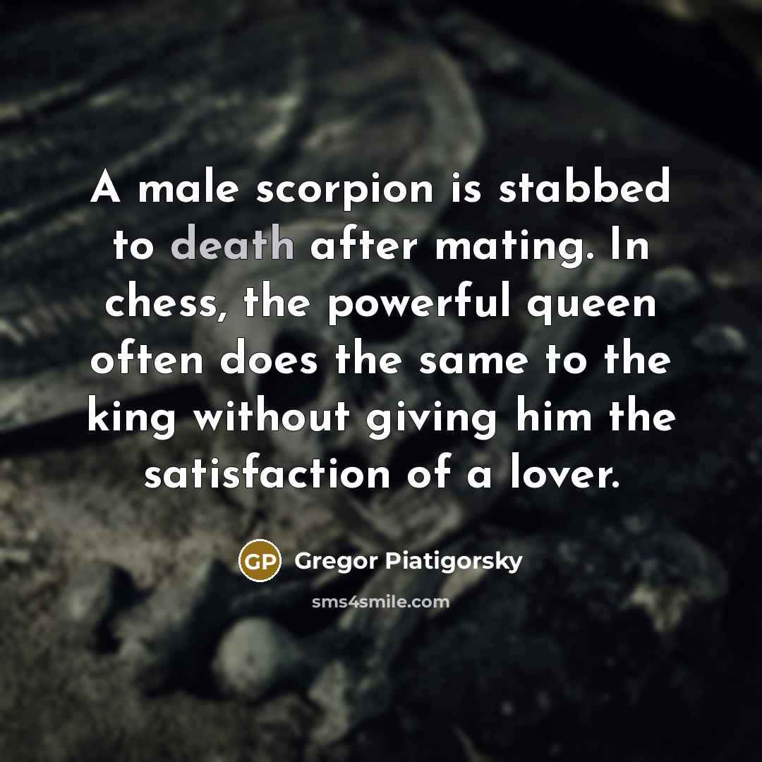 “A male scorpion is stabbed to death after mating. In…” quote by Gregor Piatigorsky