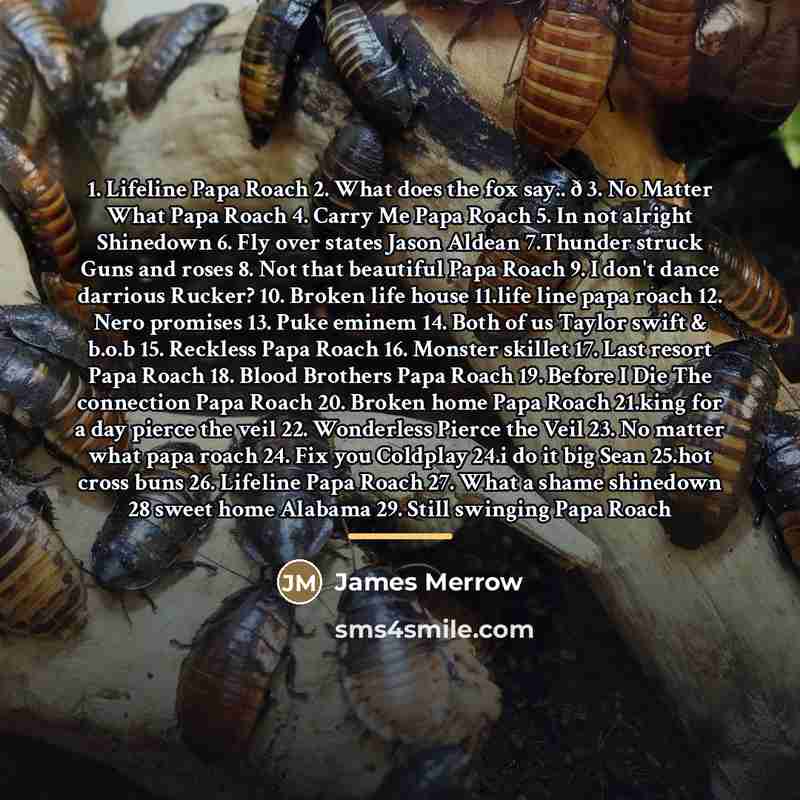 “1. Lifeline Papa Roach 2. What does the fox say..…” quote by James Merrow