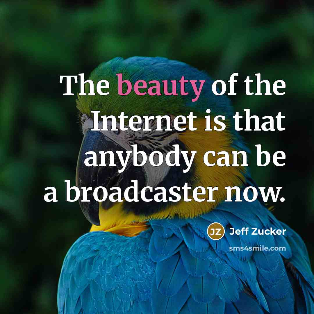“The beauty of the Internet is that anybody can be…” quote by Jeff Zucker