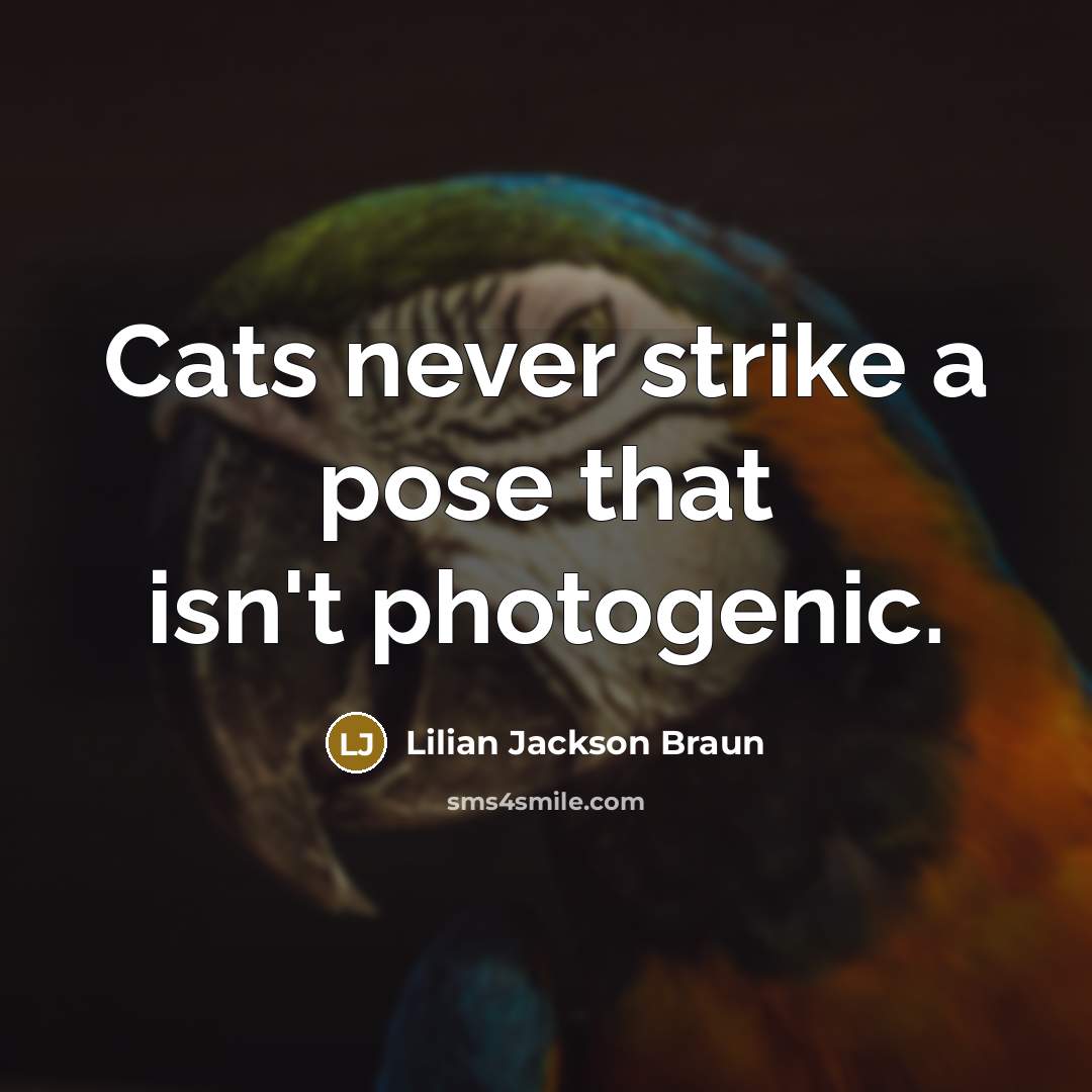 “Cats never strike a pose that isn't photogenic.…” quote by Lilian Jackson Braun