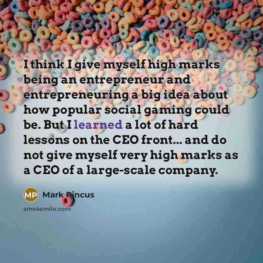 “I think I give myself high marks being an entrepreneur…” quote by Mark Pincus