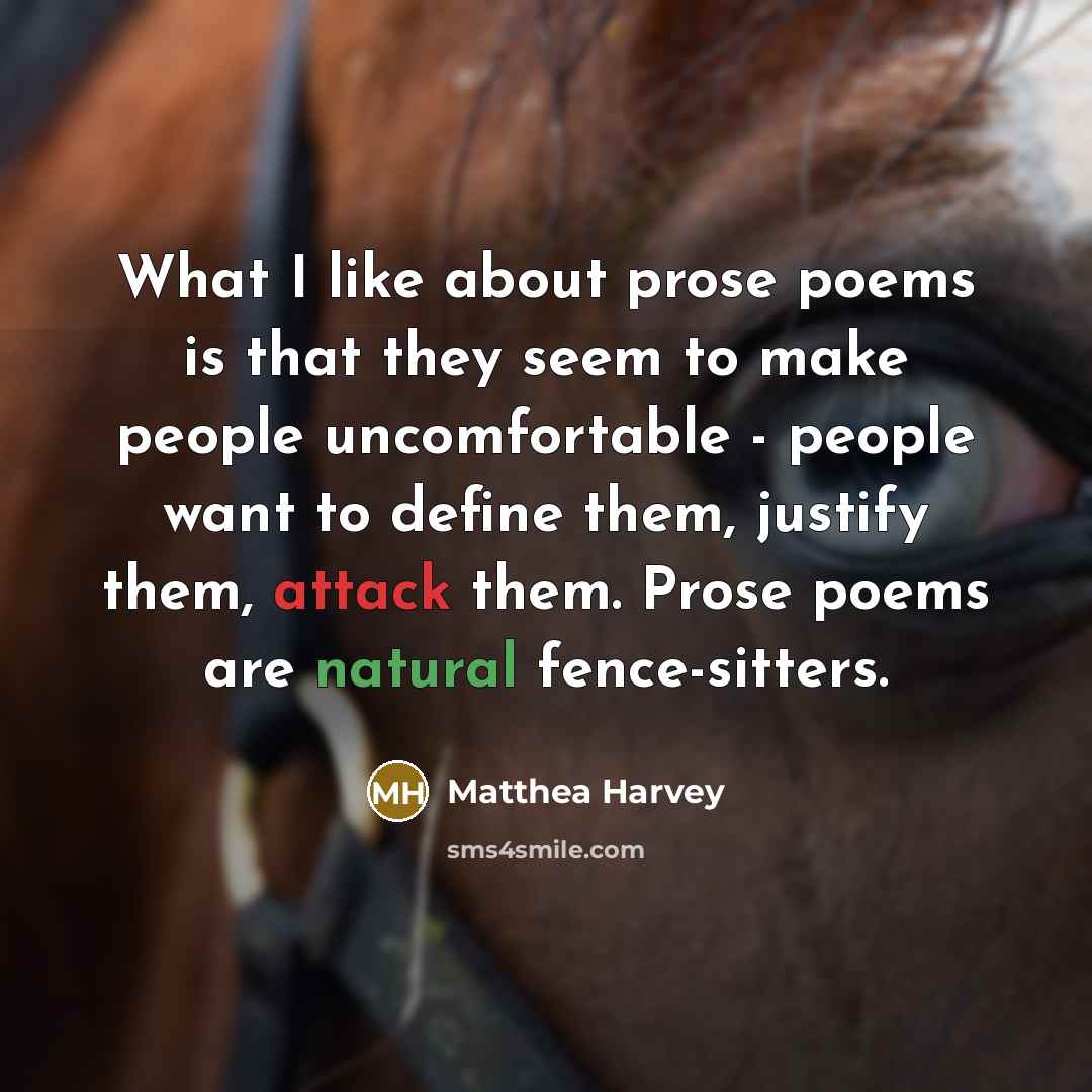 “What I like about prose poems is that they seem…” quote by Matthea Harvey