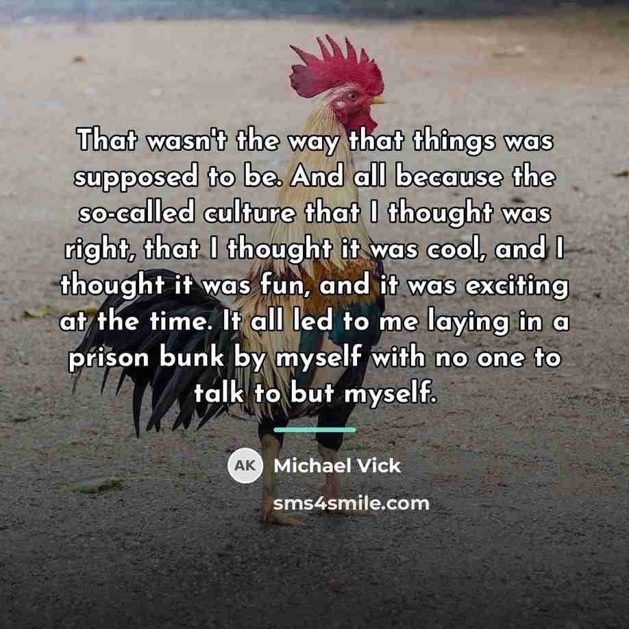 “That wasn't the way that things was supposed to be.…” quote by Michael Vick