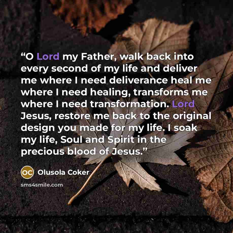“O Lord my Father, walk back into every second of my life and deliver me where I need deliverance heal me where I need healing, transforms me where I need transformation. Lord Jesus, restore me back to the original design you made for my life. I soak my life, Soul and Spirit in the precious blood…” quote by Olusola Coker