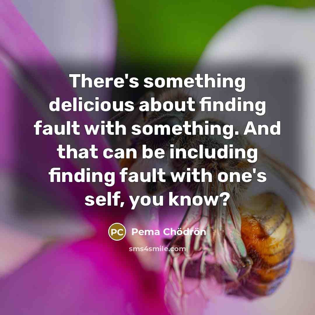 “There's something delicious about finding fault with something. And that…” quote by Pema Chodron
