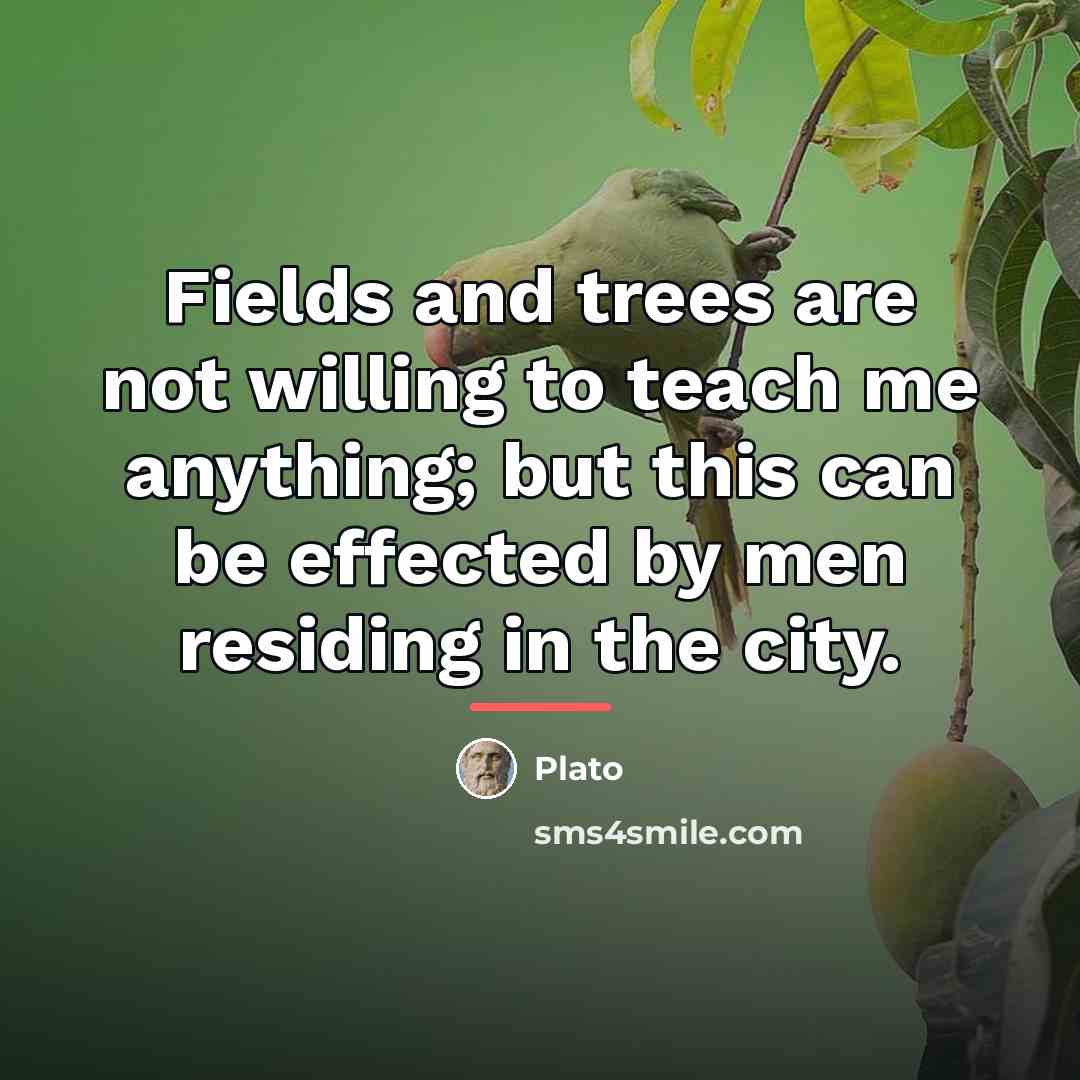 “Fields and trees are not willing to teach me anything;…” quote by Plato