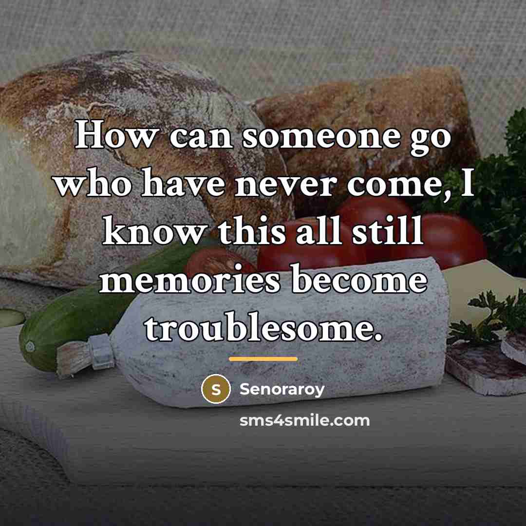 “How can someone go who have never come, I know…” quote by Senoraroy