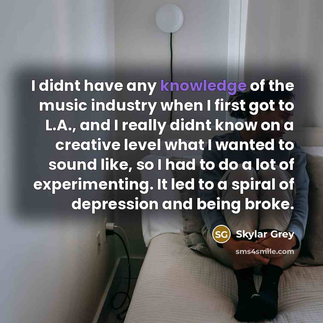“I didnt have any knowledge of the music industry when…” quote by Skylar Grey