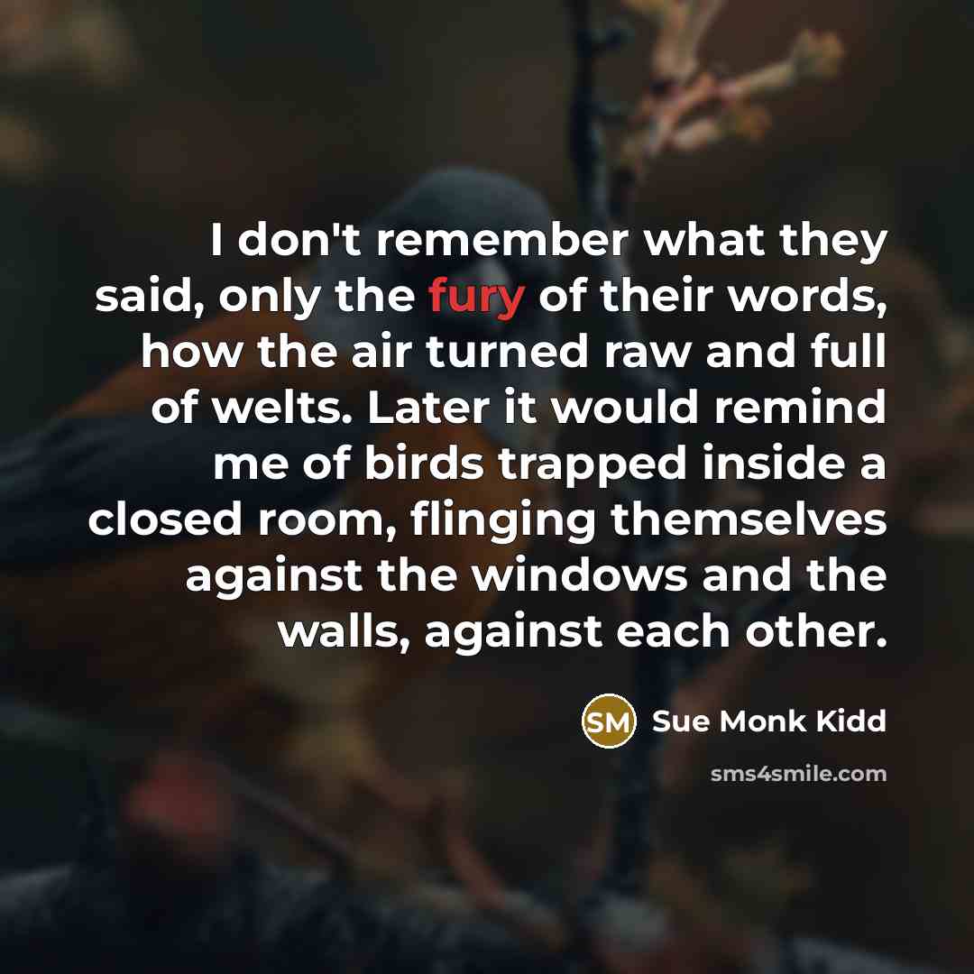 “I don't remember what they said, only the fury of…” quote by Sue Monk Kidd