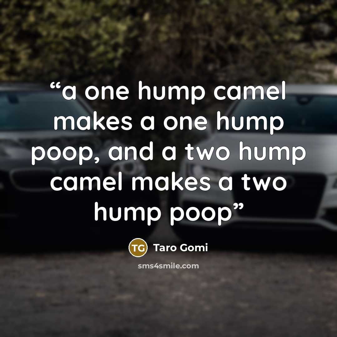 “a one hump camel makes a one hump poop, and a two hump camel makes a two hump poop” quote by Taro Gomi