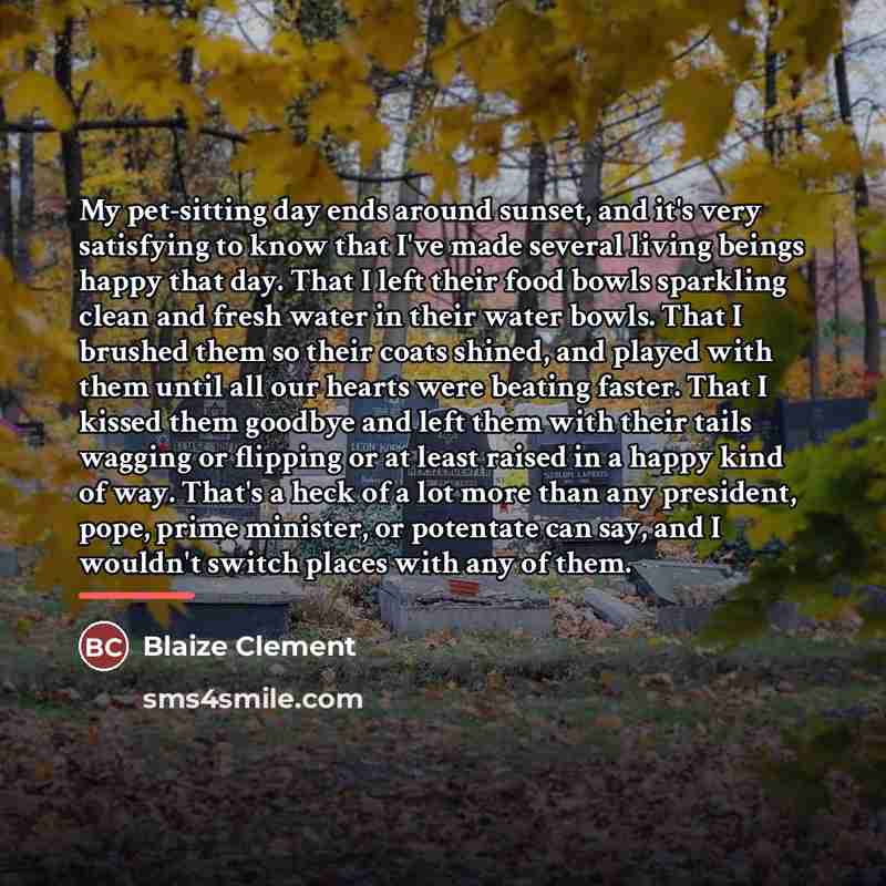 “My pet-sitting day ends around sunset, and it's very satisfying…” quote by Blaize Clement