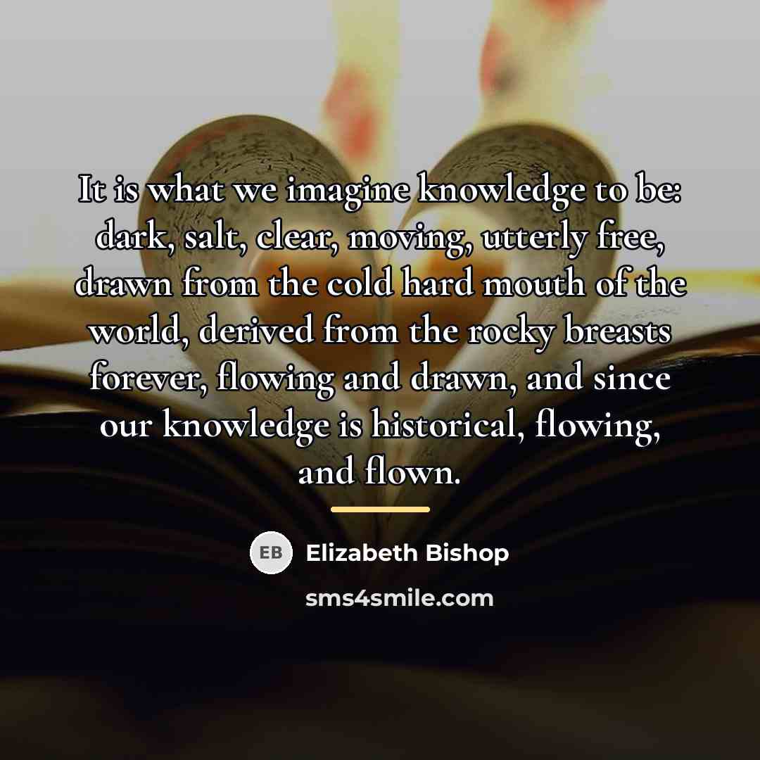 “It is what we imagine knowledge to be: dark, salt,…” quote by Elizabeth Bishop