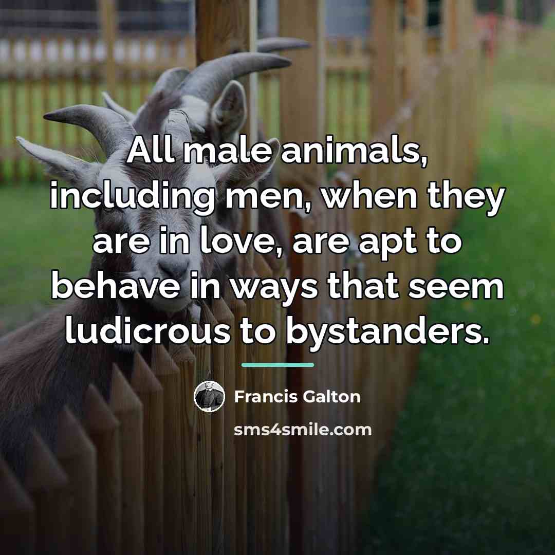 “All male animals, including men, when they are in love,…” quote by Francis Galton