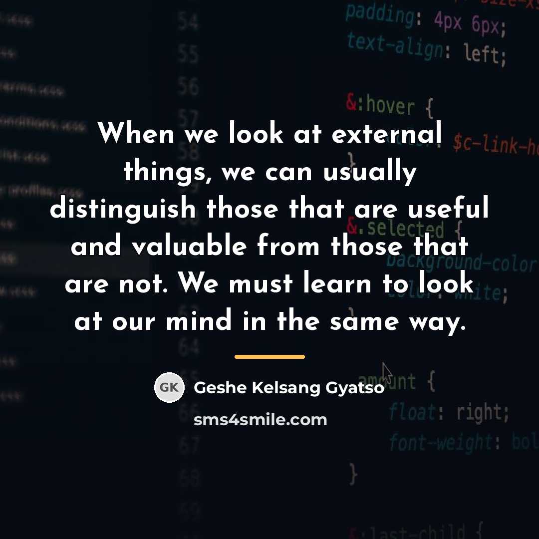 “When we look at external things, we can usually distinguish…” quote by Geshe Kelsang Gyatso