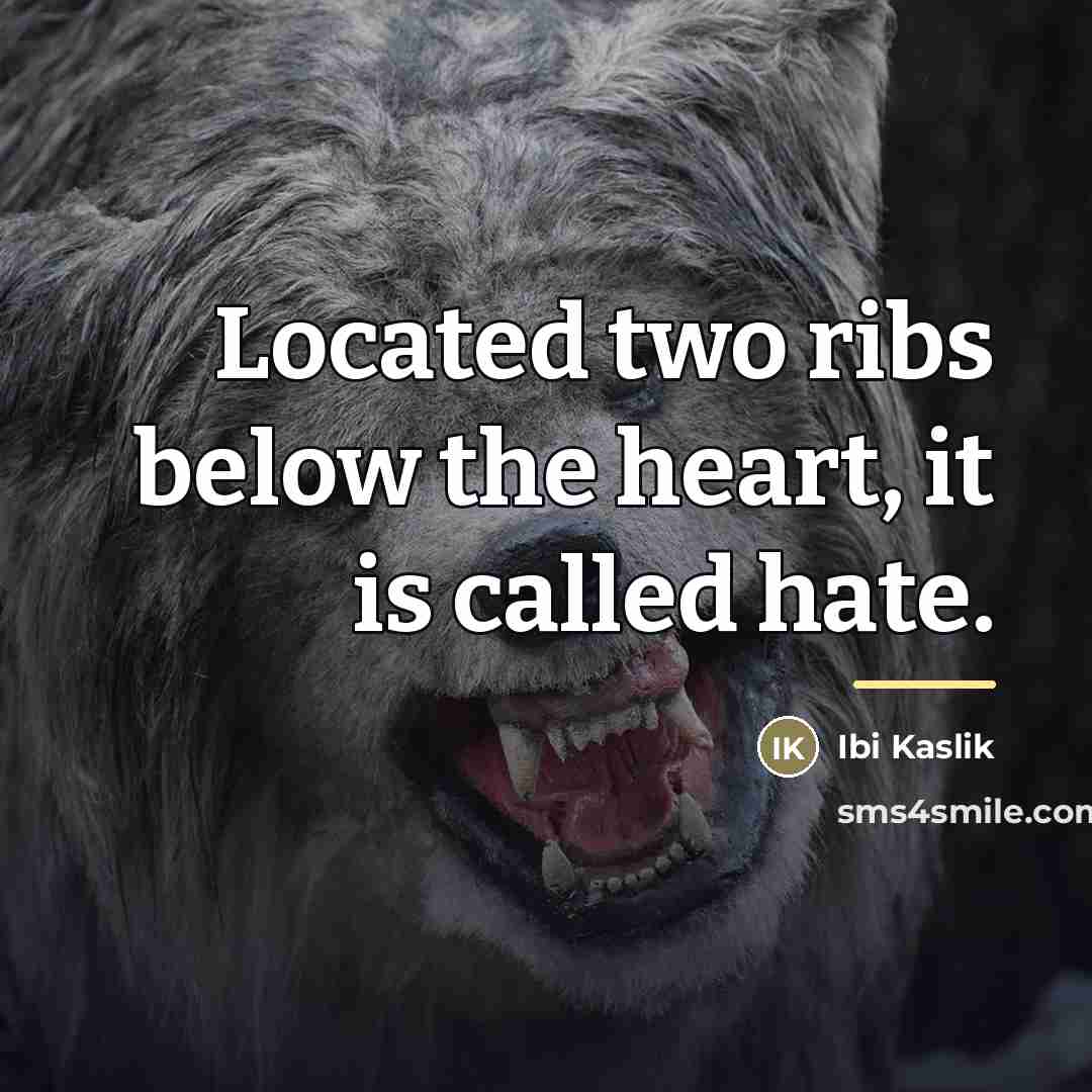 “Located two ribs below the heart, it is called hate.…” quote by Ibi Kaslik
