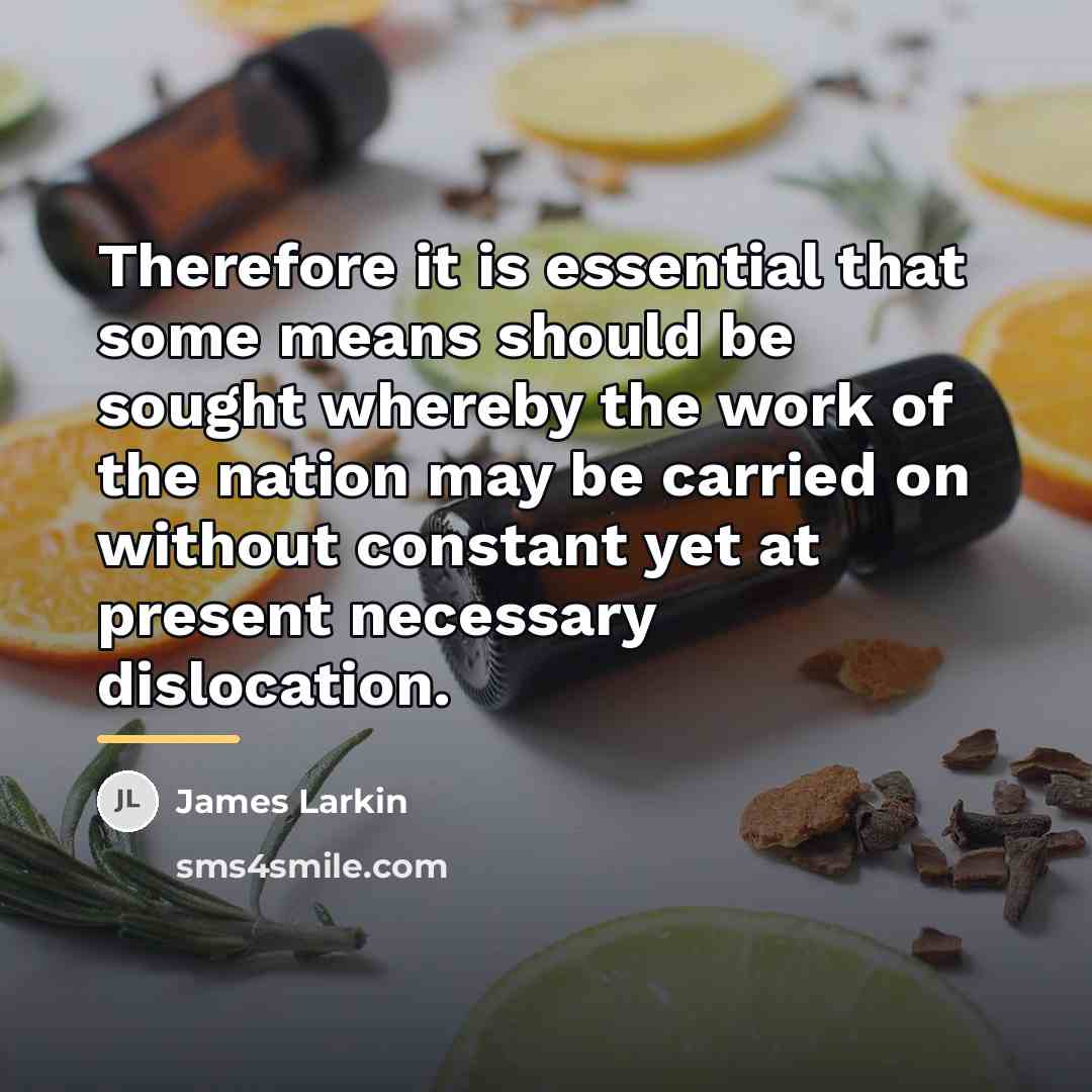“Therefore it is essential that some means should be sought…” quote by James Larkin