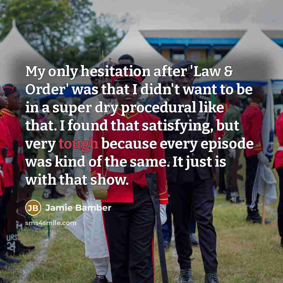 “My only hesitation after 'Law & Order' was that I…” quote by Jamie Bamber
