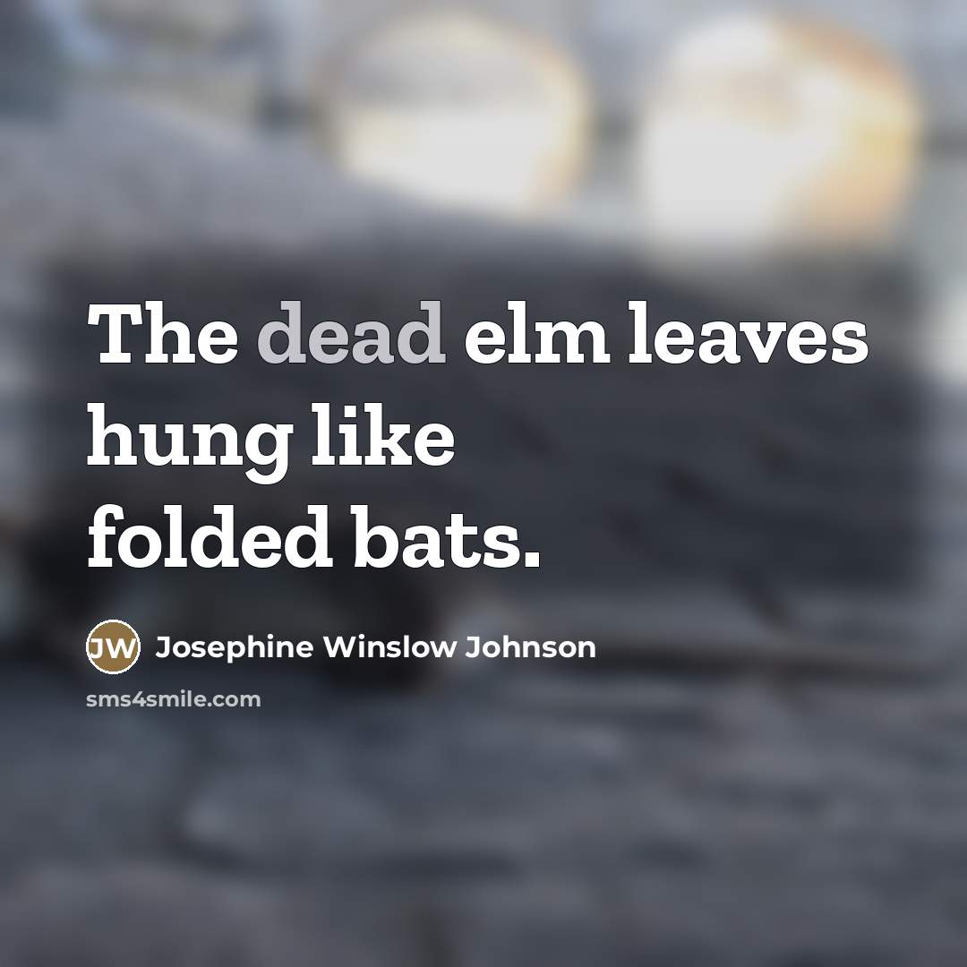 “The dead elm leaves hung like folded bats.…” quote by Josephine Winslow Johnson