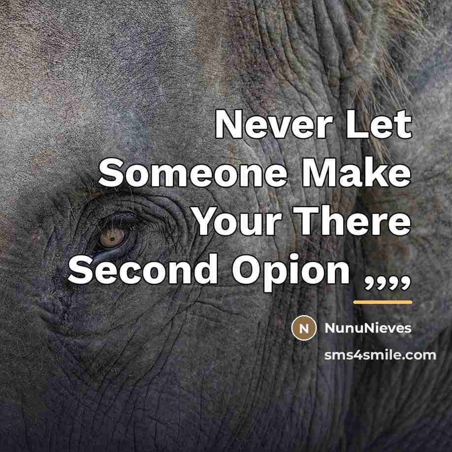 “Never Let Someone Make Your There Second Opion ,,,,…” quote by NunuNieves