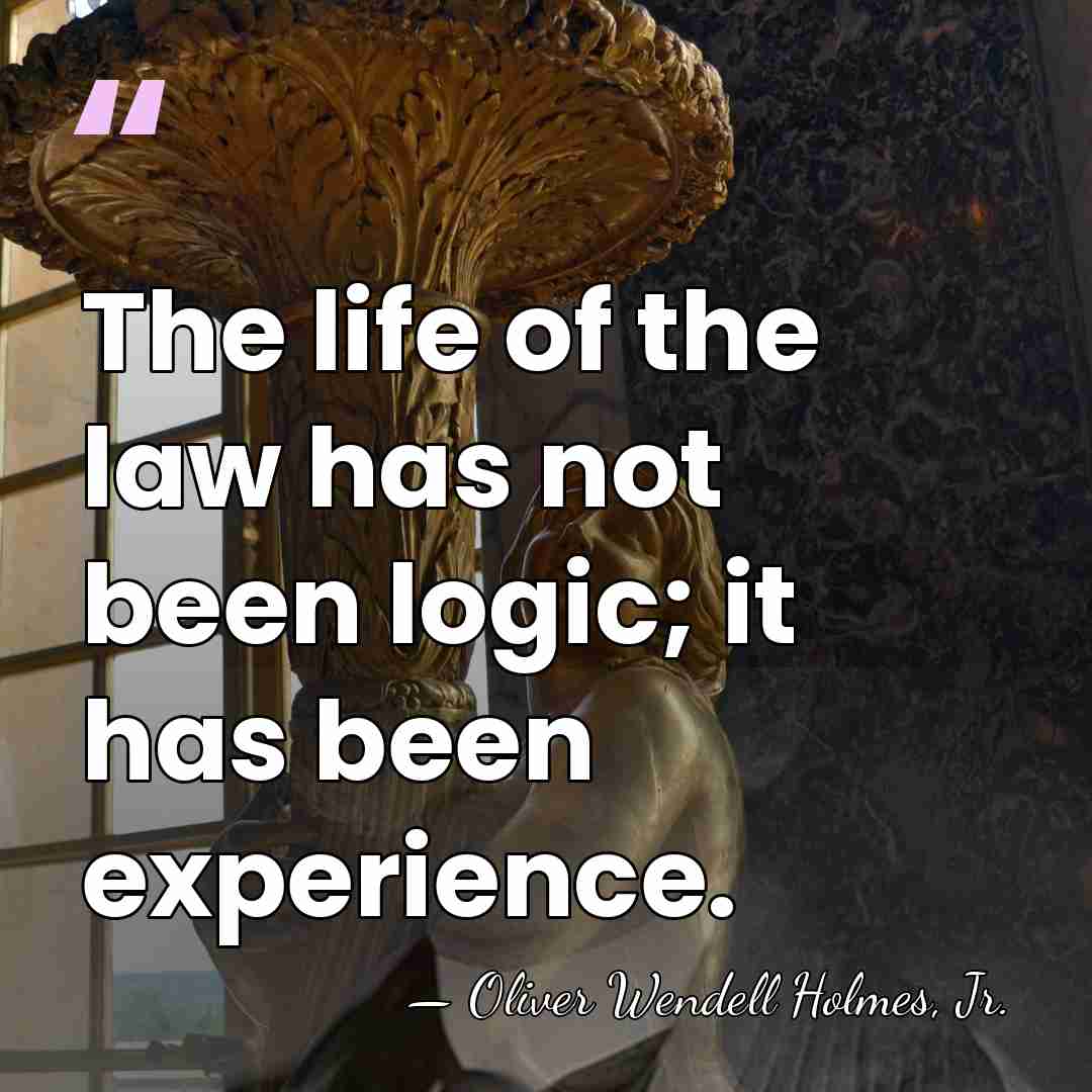 The life of the law has not been logic; it has been&hellip; - Oliver Wendell Holmes, Jr.