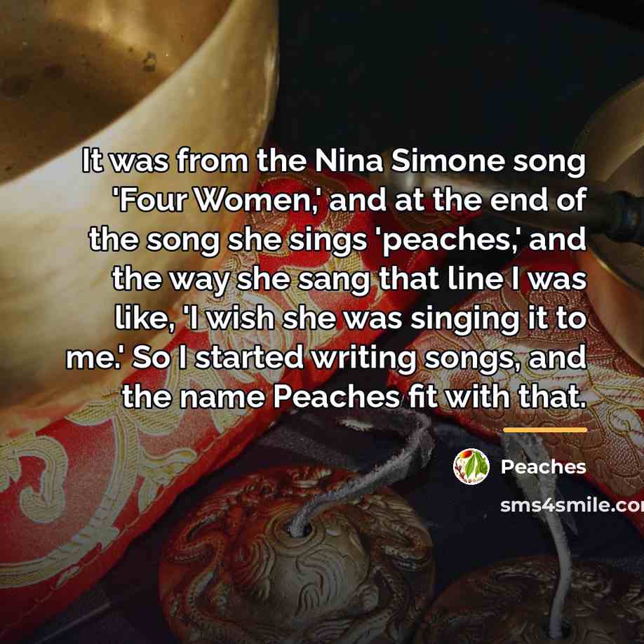 “It was from the Nina Simone song 'Four Women,' and…” quote by Peaches