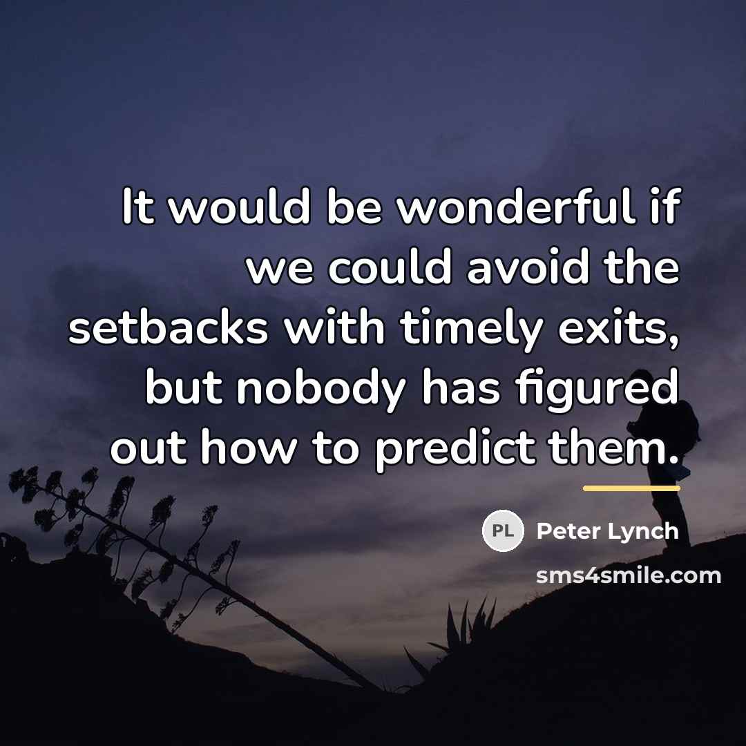 “It would be wonderful if we could avoid the setbacks…” quote by Peter Lynch