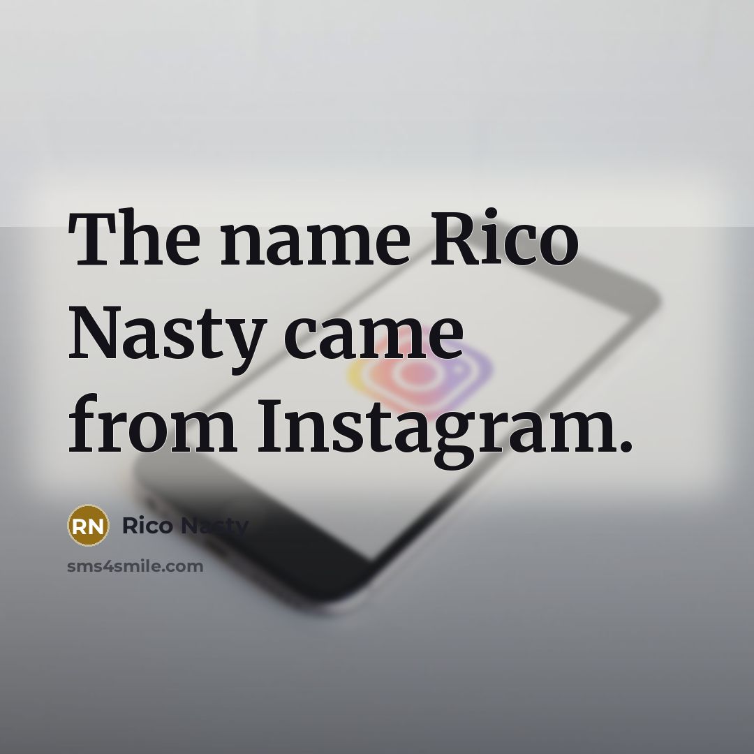 “The name Rico Nasty came from Instagram.…” quote by Rico Nasty