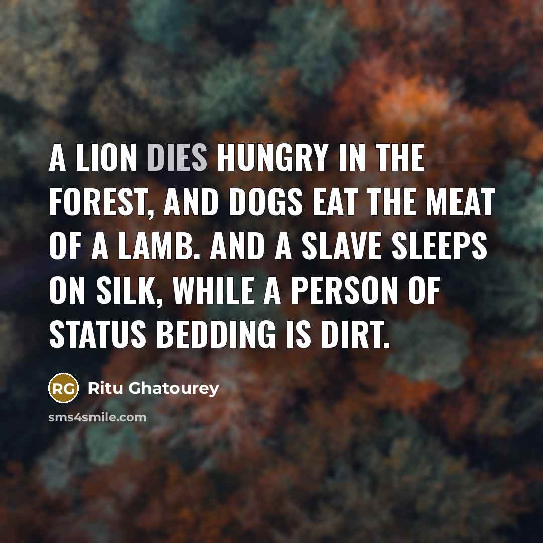 “A lion dies hungry in the forest, And dogs eat the meat of a lamb. And a slave sleeps on silk, While a person of status bedding is dirt.” quote by Ritu Ghatourey