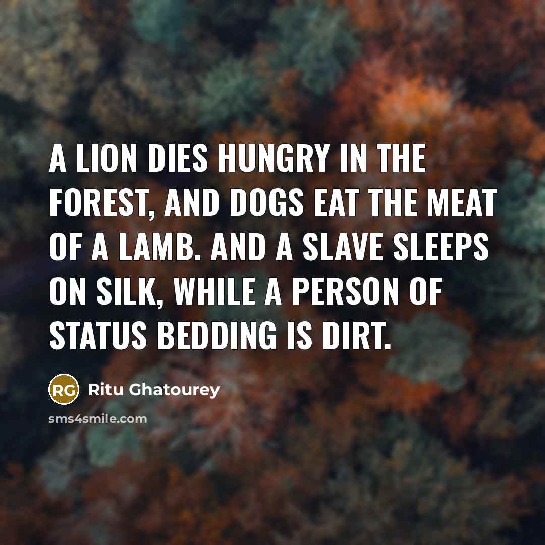 “A lion dies hungry in the forest, And dogs eat…” quote by Ritu Ghatourey